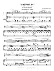 PIccolo Sonata #5
