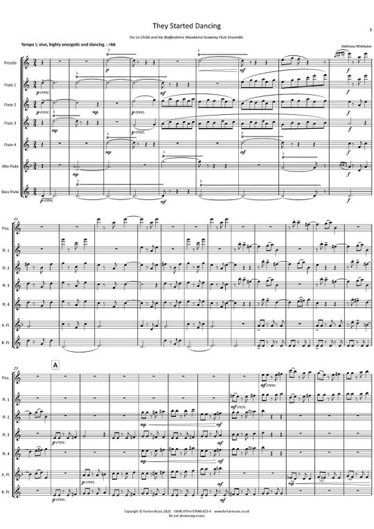 Buy They Started Dancing Online at 38.95 Flute World