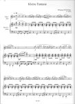 Flute Songs