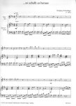 Flute Songs