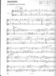 Flutes des Caraibes (v.1)