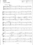 Flutes des Caraibes (v.1)
