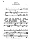 Music Sheet - Winter Dusk Sample at Flute World