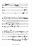 Piccolo Concerto Sample music Sheet