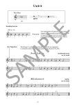 The Young at Heart Flute Player (bk6) Adult Learners