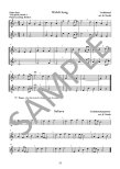 The Young at Heart Flute Player (bk6) Adult Learners