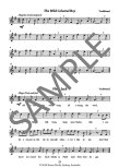 The Young Flute Player (bk2)
