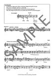The Young Flute Player (bk2)