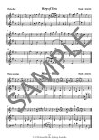 The Young Flute Player (bk3)