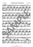 The Young Flute Player (bk3)