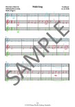The Young Flute Player (bk4) Beginner Duets and Trios