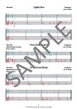 The Young Flute Player (bk4) Beginner Duets and Trios