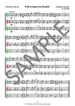 The Young Flute Player (bk5) Intermediate Duets and Trios