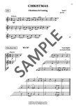 The Young Flute Player (bk9) Festive Flute Fun