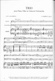 Trio Op45