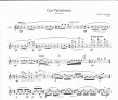 Variationen for Flute on Kurdish Folk Songs