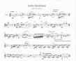 Variationen for Flute on Kurdish Folk Songs