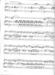 Concerto in e minor Op64