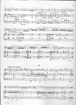 Concerto in e minor Op64