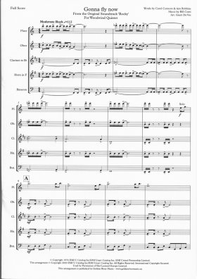 Gonna Fly Now - Theme from "Rocky" for Woodwind Quintet