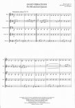 Good Vibrations for Woodwind Quintet