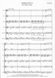 Hawaii Five-O for Flute Choir