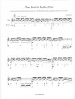 Three Beats for Beatbox Flute