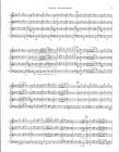 Tiger Rag for Woodwind Quartet