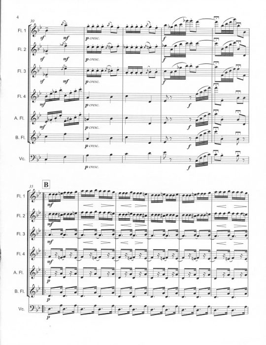 Buy Dance of the Reed Flutes from "The Nutcracker Suite" Online at 30