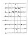 Cuckoo's Polka Op336
