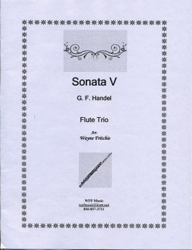 Sonata V