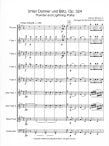 Thunder and Lightening Polka Op 324