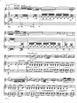 Concertino Op45
