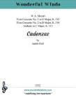 Mozart Flute Cadenzas