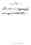 Mozart Flute Cadenzas