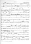 Six Trios Concertantes #1-3
