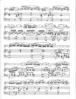 Concerto in d Minor Op43