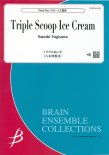 Triple Scoop Ice Cream