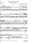 Serenade Op128