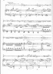 Sonata Undine Op167