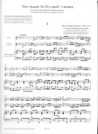 Trio Sonate #33 in e minor