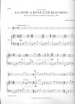 Christmas Music for Flute and Harp (v.2)