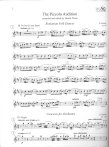 The Piccolo & Alto Flute Audition