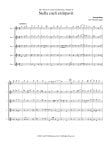 The Bolivian Baroque (v.6)