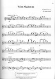 Inspiring Flute Solos
