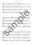 Samba fur Elise