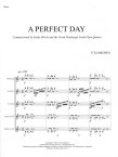 A Perfect Day