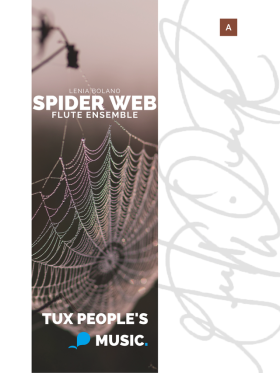 Spider Web