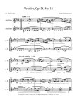 sheet music for two alto flutes, alto flute duet