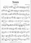 Flute Music of New York